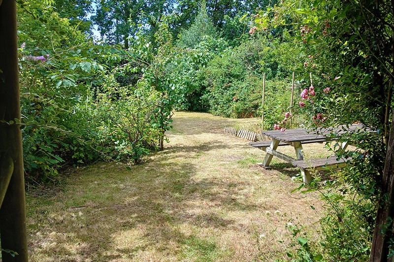 lawn cut back garden
