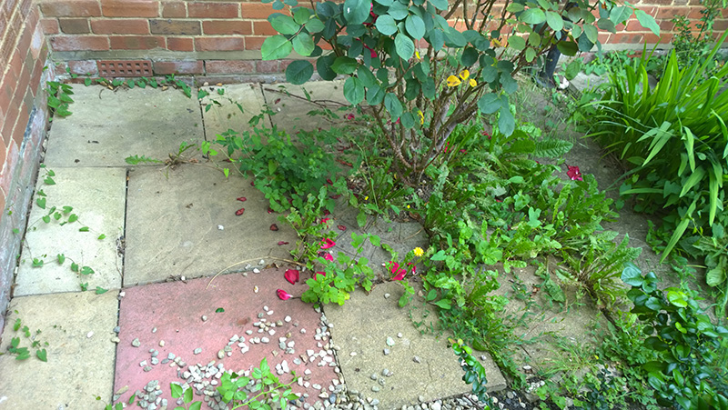 garden patio before clean up and tidy
