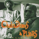 chaka demus & pliers i wanna be your man